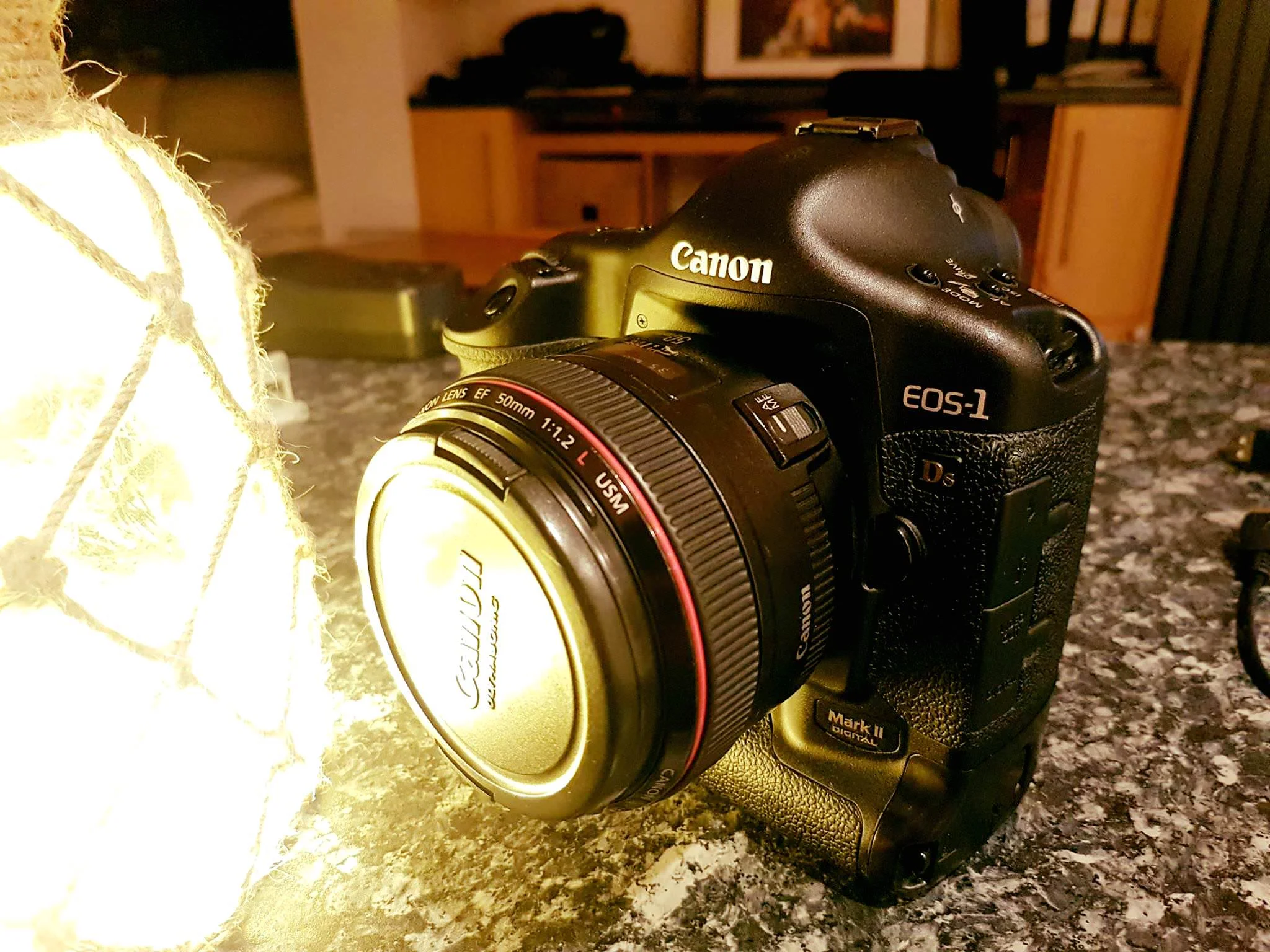 Canon 1Ds Mark II old camera new owner Nick English Photography
